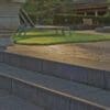 Schellevis® steps