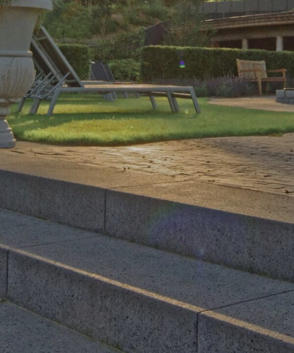 Schellevis® steps