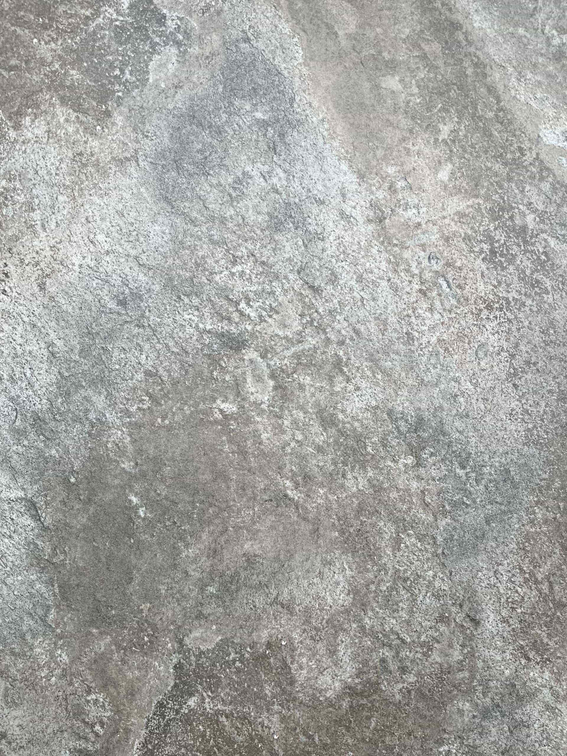 Oyster 900x600x20mm Detail