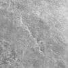 Himalayan Grey