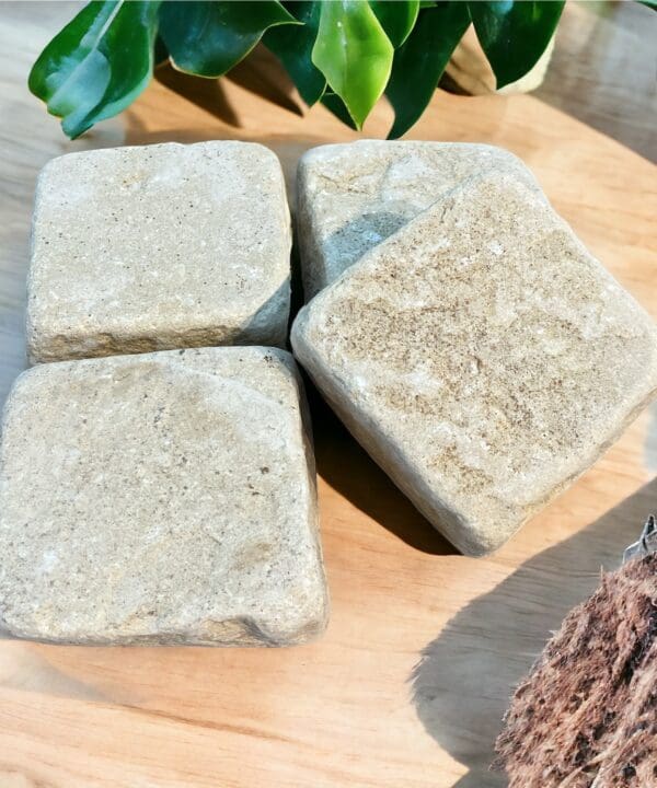 Fossil Tumbled Sandstone Setts