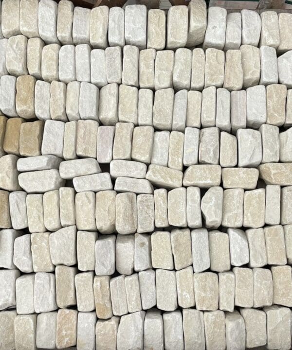Fossil Tumbled Sandstone Setts